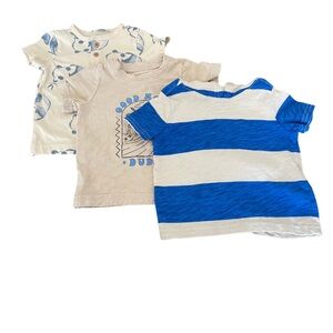 Set of 3, 6-9 month old boy t-shirts!